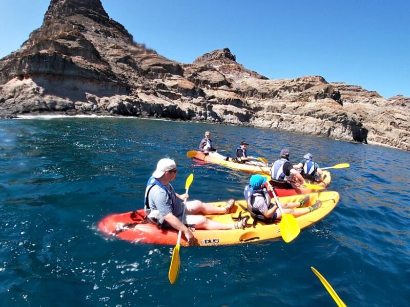 Lomo Quiebre: Mogan Kayaking and Snorkeling Tour in Caves - Key Points