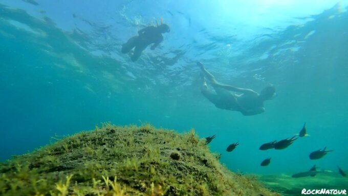 Lomo Quiebre: Mogan Kayaking and Snorkeling Tour in Caves - Frequently Asked Questions