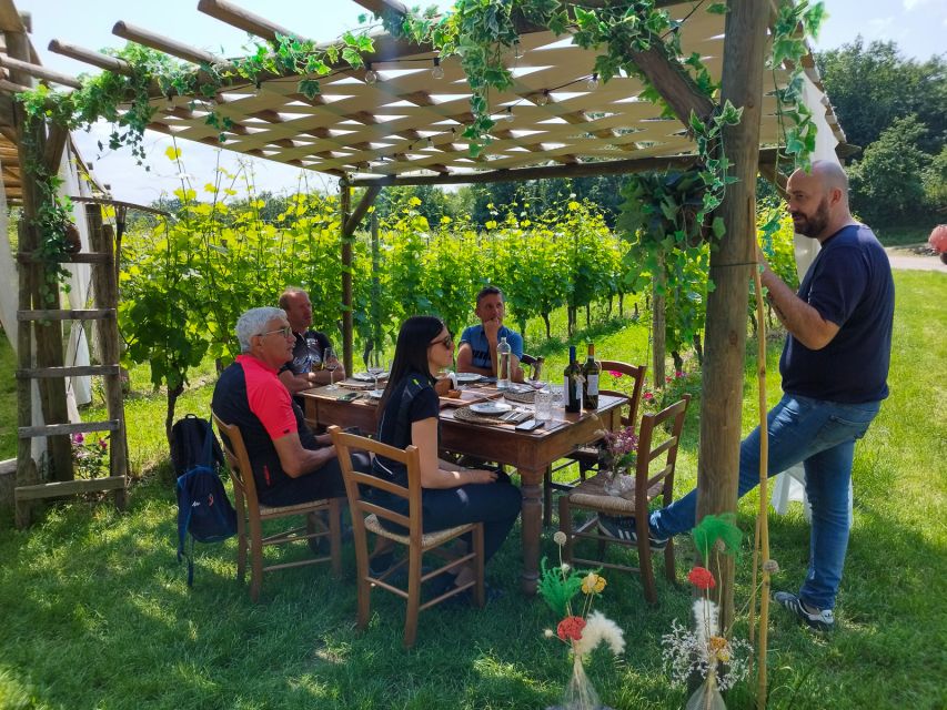 Lonato: Tour and Tasting of Valtenesi and Lugana Wines - Key Points