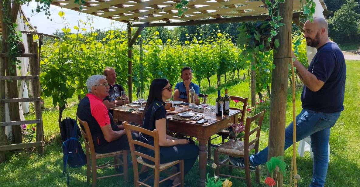 Lonato: Tour and Tasting of Valtenesi and Lugana Wines - Booking Details