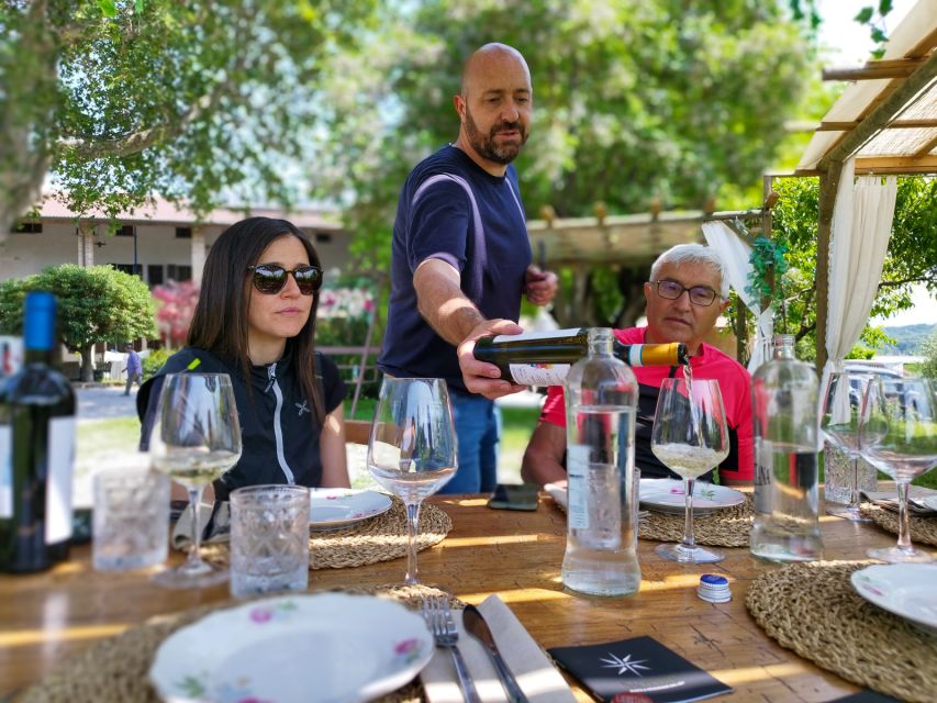 Lonato: Tour and Tasting of Valtenesi and Lugana Wines - Customer Reviews