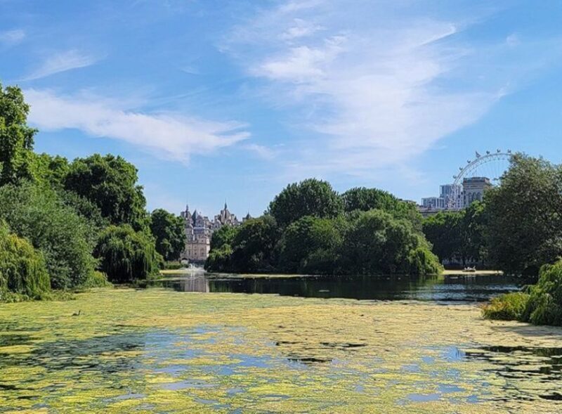 London: Buckingham, Big Ben & Westminster Abbey Tour - Key Points