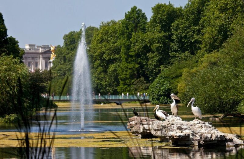 London: Buckingham Palace State Rooms & Royal Walking Tour - Authentic Experiences from Travelers
