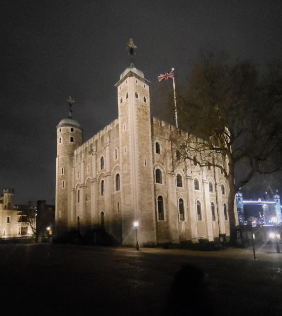 London: Chauffeur Driven Tour - Half Day Self Guided - Accessibility Features