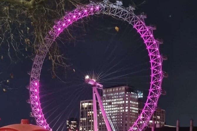 London Christmas Lights Private Guided Taxi Tour - Festive Cheer in London
