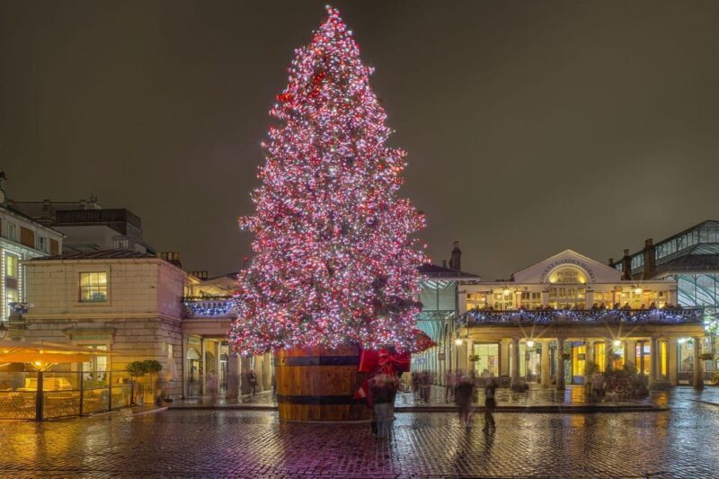 London: Christmas Lights Walking Tour - Who Will Love This Tour