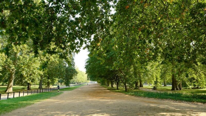 London: Discover Pass with HOHO Bus Tours, Cruise and Walks - The Sum Up: Who Is This Tour For?