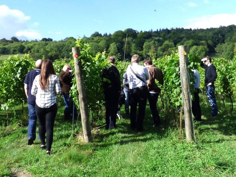 London: Full-Day English Wine Tour with Lunch - Who Will Love This Tour?