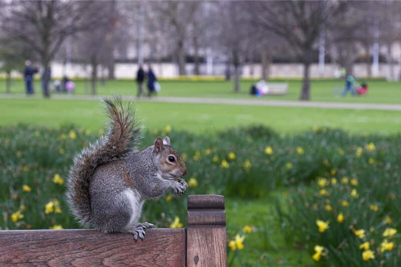 London: Full-Day Private Tour with Westminster Abbey Tickets - Final Thoughts