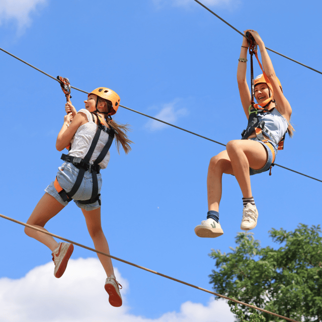 London: Gripped Aerial Park All-Inclusive Entry Pass - What to Expect at Gripped Aerial Park
