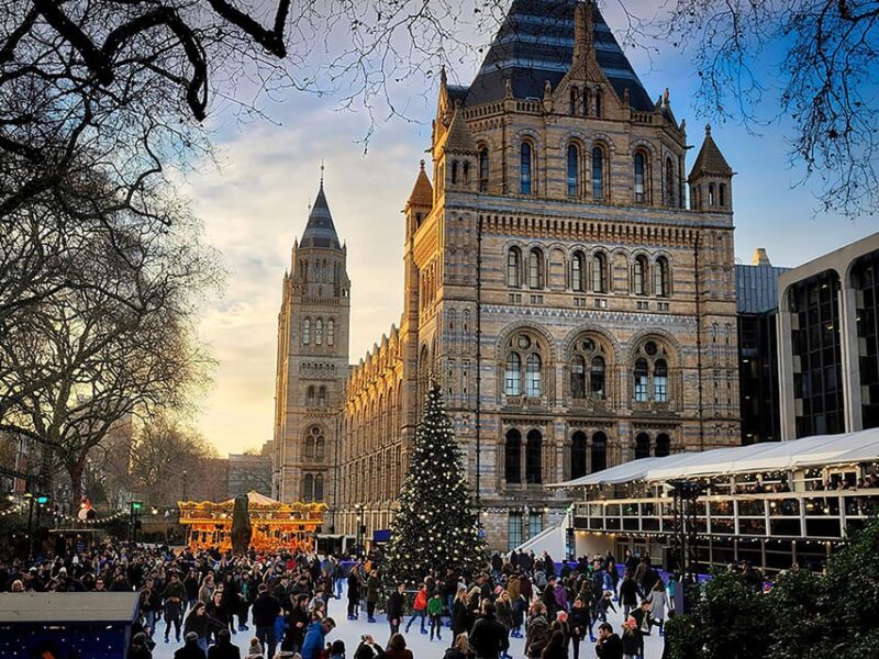 London: Guided Exploration at the Museum of Natural History - Exploring the Natural History Museums Fossil Collection