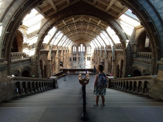 London: Guided Exploration at the Museum of Natural History - Encountering Extinct Species in the Evolution Gallery