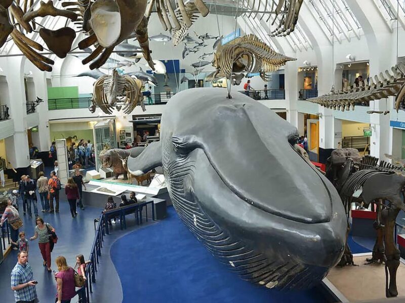 London: Guided Tour of Natural Marvels - What Makes This Tour Stand Out