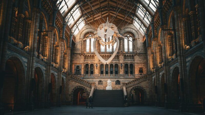 London: Guided Tour of the Natural History Museum - An In-Depth Look at the Guided Tour