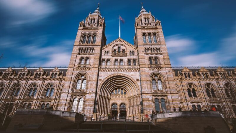 London: Guided Tour of the Natural History Museum - Practical Considerations
