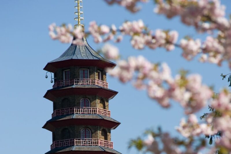 London: Kew Gardens Admission Ticket - Gardens and Attractions Overview