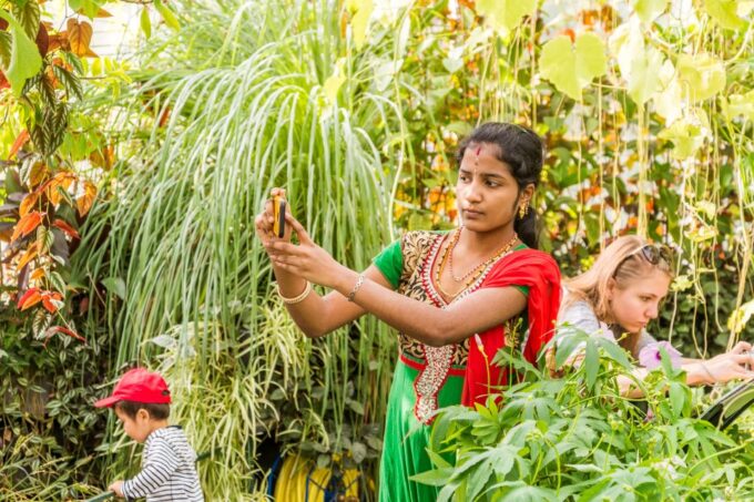 London: Kew Gardens Admission Ticket - Preparing for Your Visit