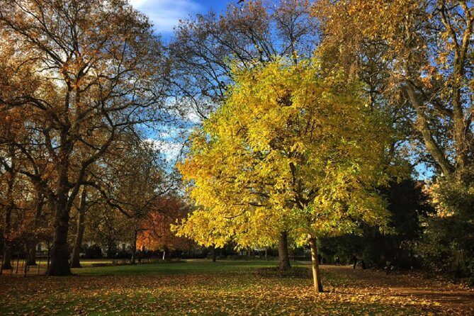 London Literary Private Walking Tour Of Bloomsbury - The Experience and Practicalities