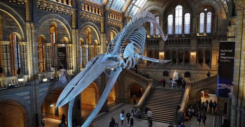 London: Luggage Storage Close to Natural History Museum - Luggage Storage Details