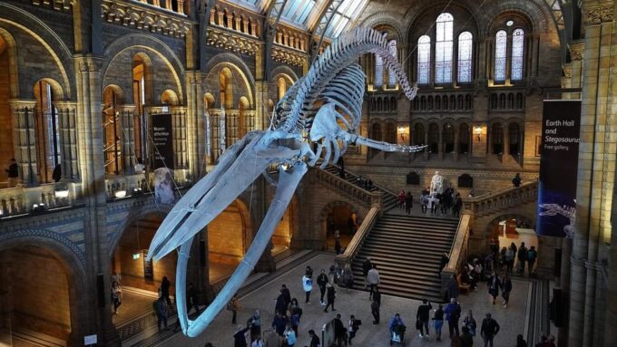 London: Luggage Storage Close to Natural History Museum - Why Choose This Service