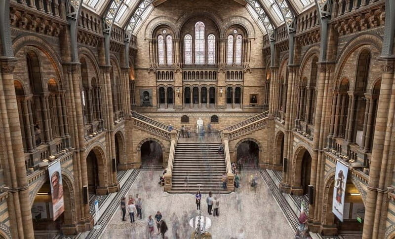 London: Natural History Museum Guided Tour - An Introduction to the Guided Tour Experience