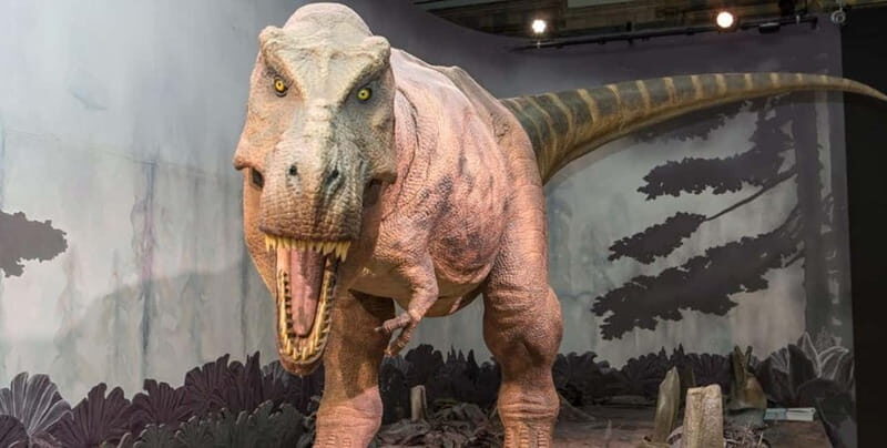 London: Natural History Museum Guided Tour - Key Highlights of the Tour
