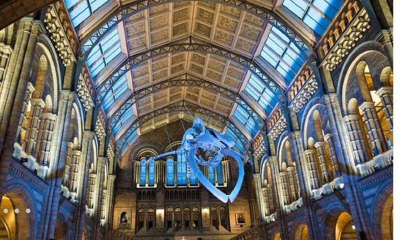 London: Natural History Museum Guided Tour - The Value of This Guided Experience