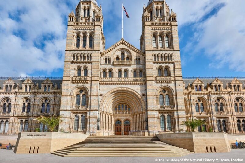 London: Natural History Museum Guided Tour & Afternoon Tea - Why This Experience Works Well for Certain Travelers