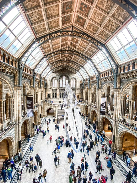 London: Natural History Museum Guided Tour - Whats Included and How It Works