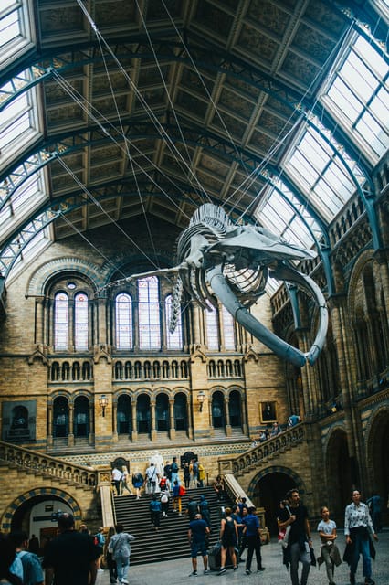 London: Natural History Museum Guided Tour - The Pros and Cons