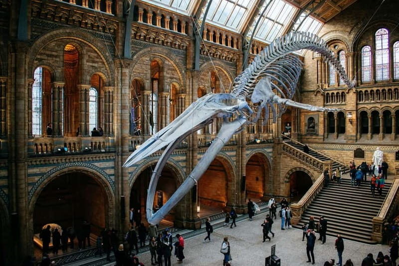 London: Natural History Museum Reserved Entry & Audio Tour - Introduction