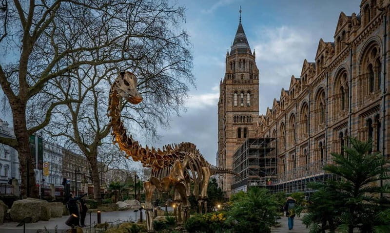 London: Natural History Museum Reserved Entry & Audio Tour - The Sum Up