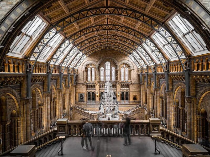 London: Sculptures and Art Tour at the British Museum - Real Reviews and What Travelers Say