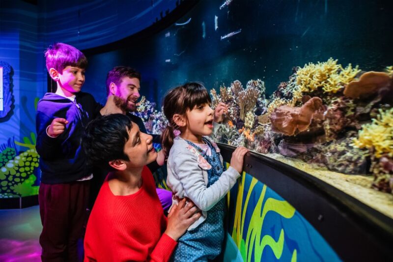 London: SEA LIFE Entry Ticket - Customer Ratings Overview