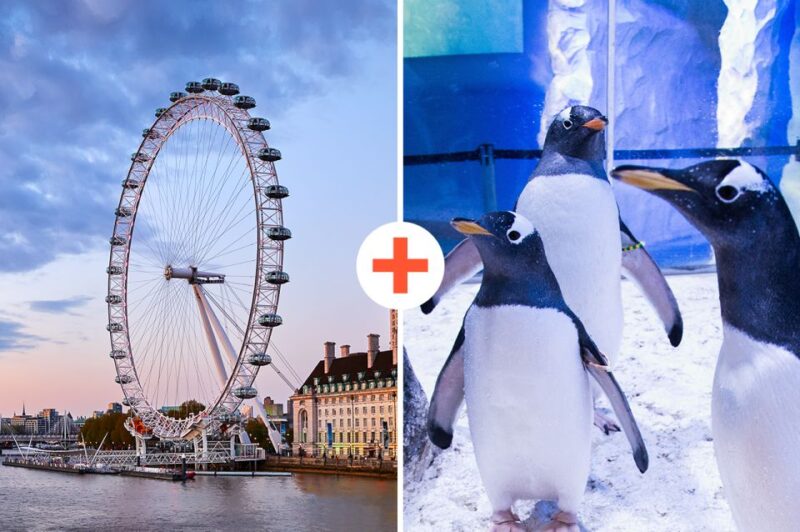 London: SEA LIFE & London Eye Combo Ticket - Good To Know