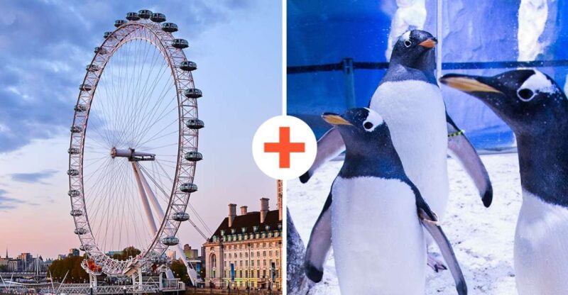 London: SEA LIFE & London Eye Combo Ticket - Important Booking Information