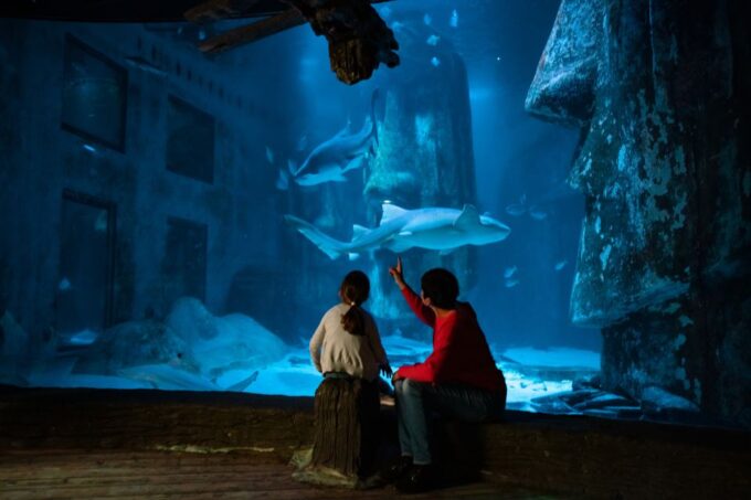 London: SEA LIFE & London Eye Combo Ticket - Alternative Attractions Nearby
