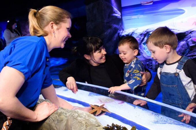 London: SEA LIFE & London Eye Combo Ticket - Frequently Asked Questions