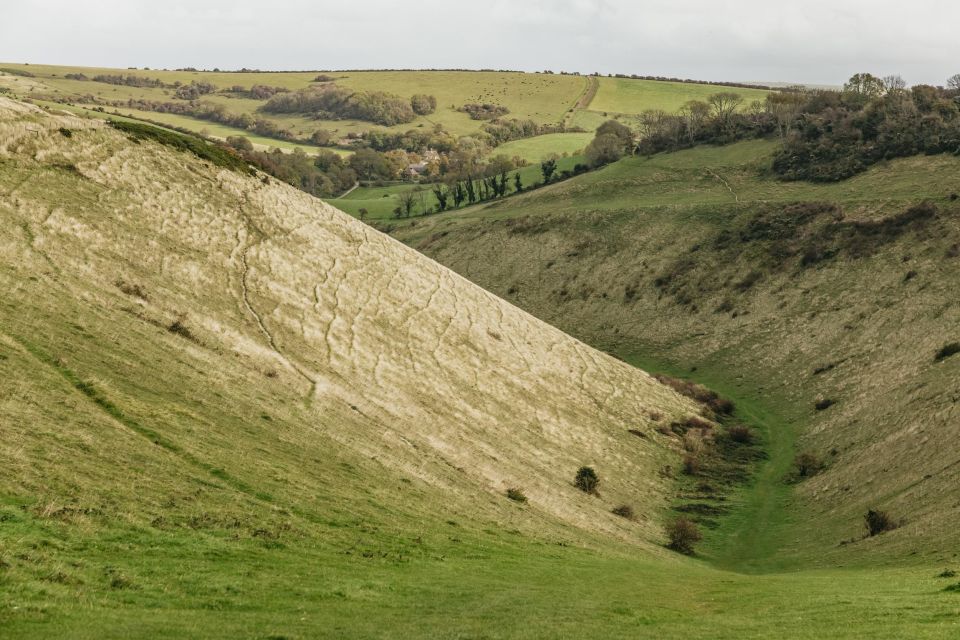 London: South Downs White Cliffs Day Trip With Train Tickets - Itinerary Details