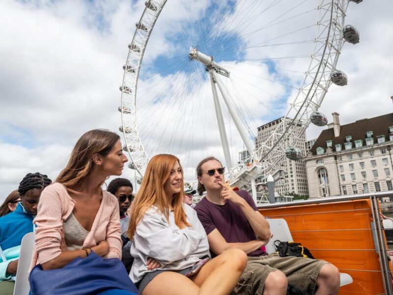 London: Westminster Walking Tour & London Eye Ticket - A Full Breakdown of the Tour Experience  