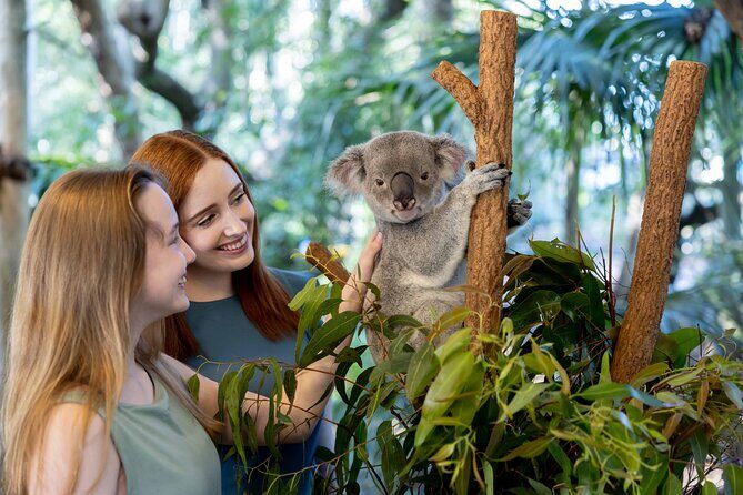 Lone Pine Koala Sanctuary Day Pass - Exploring Lone Pine Koala Sanctuary: What You Can Expect