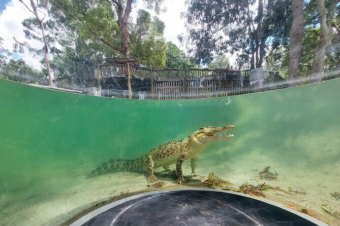 Lone Pine Koala Sanctuary Day Pass - FAQ