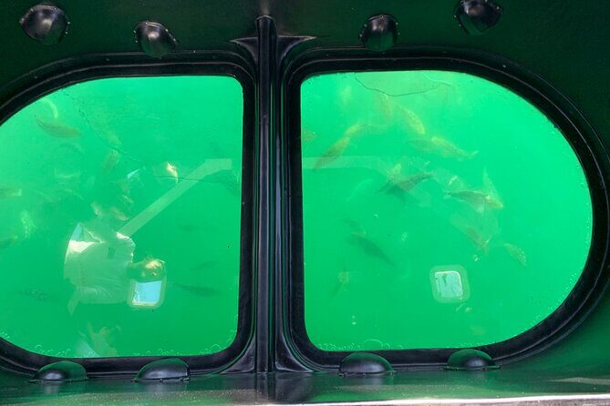 Long Beach Glass Bottom Boat Eco-Tour - Exploring the Long Beach Glass Bottom Boat Eco-Tour: A Balanced Review