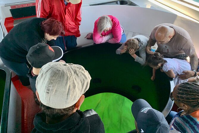 Long Beach Glass Bottom Boat Eco-Tour - Real Perspectives from Travelers