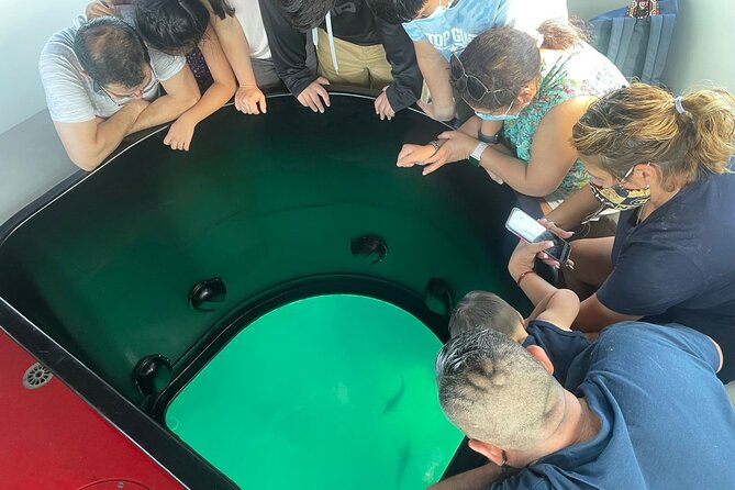 Long Beach Glass Bottom Boat Eco-Tour - Meeting Point and Departure