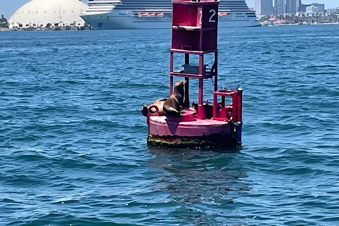 Long Beach Glass Bottom Boat Eco-Tour - Customer Feedback Highlights