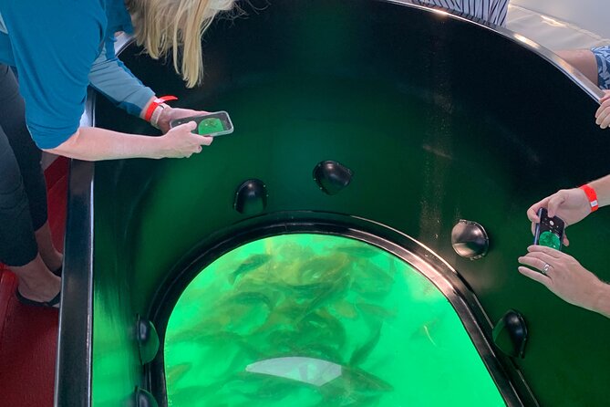 Long Beach Glass Bottom Boat Eco-Tour - Additional Tour Details