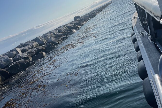Long Beach Glass Bottom Boat Eco-Tour - Things To Known