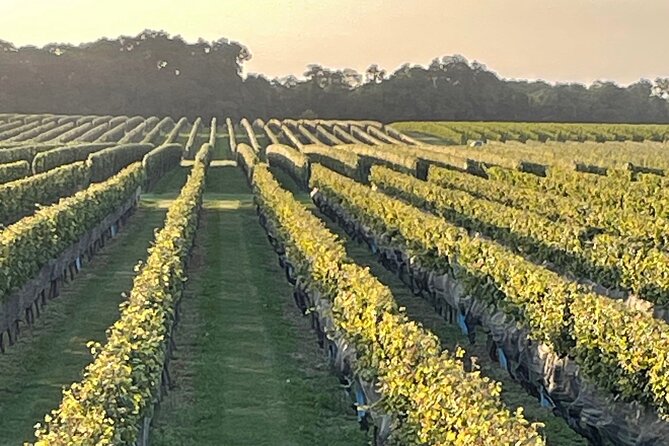 Long Island North Fork Sights, Bites & Flights Review - Highlights of the Tour