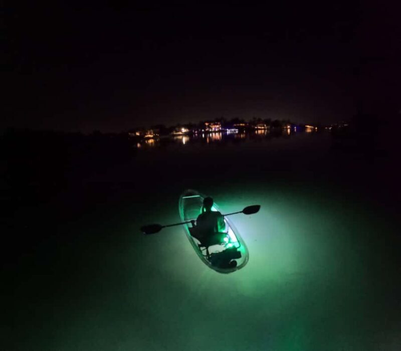 Longboat Key Clear Kayak LED Illuminated Night Tour Sarasota - A Deeper Look at the Experience